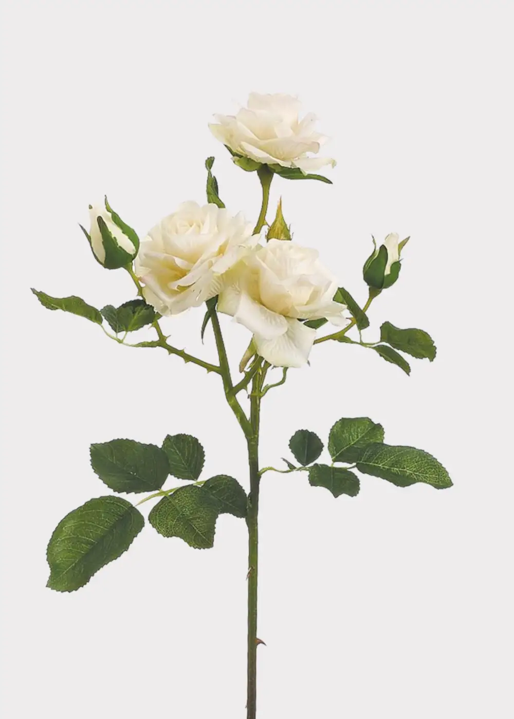 Artificial Textural Roses Stem
