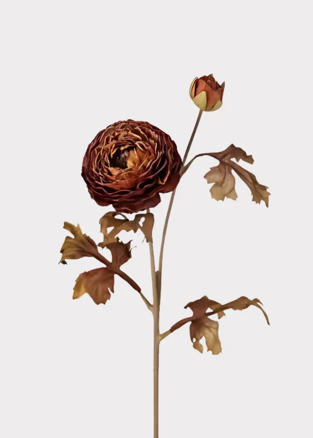 Artificial Ranunculus Cinnamon Floral Stem