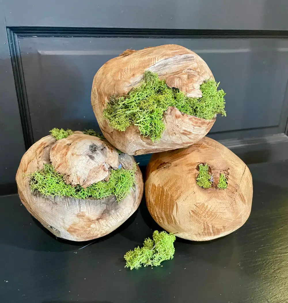 Contemporary Home Display Decor Decorative Wood