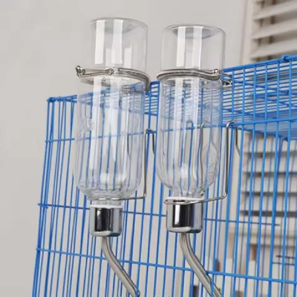 350ML Water Bottles for Rabbit