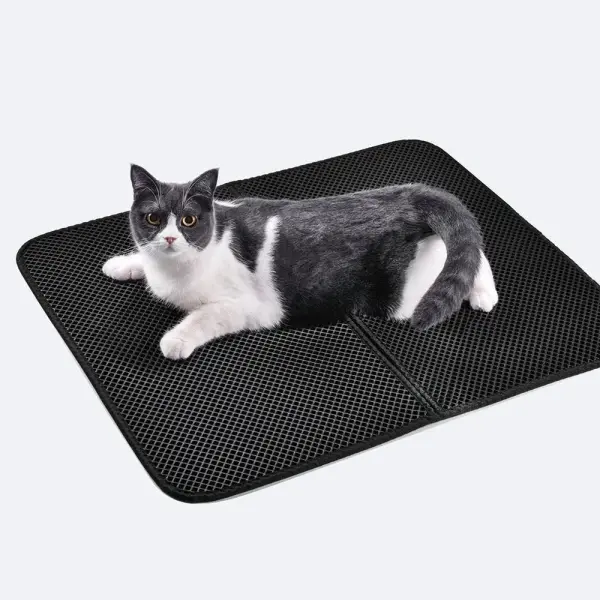 Cat Litter Home Furniture