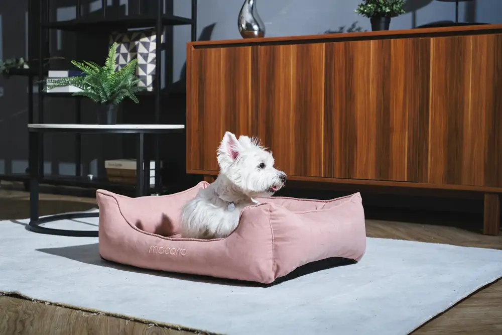 Soft Touch Pet Resting Bed
