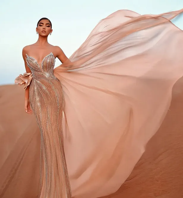 Champagne Embellished Gown Dress