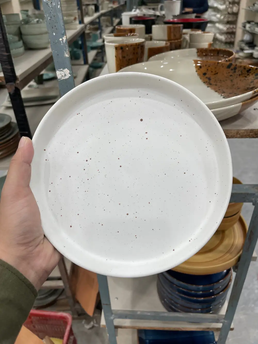 Versatile Home Ceramic Dining Plate