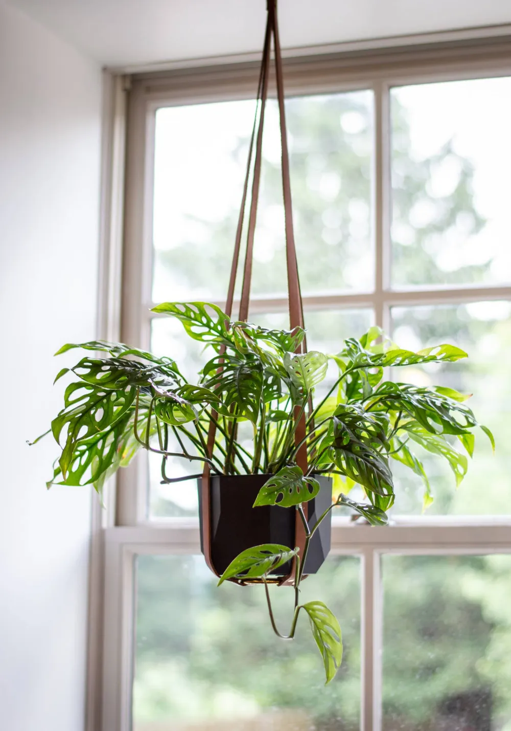 Elegant Living Space Decor Hanging Flower Pots