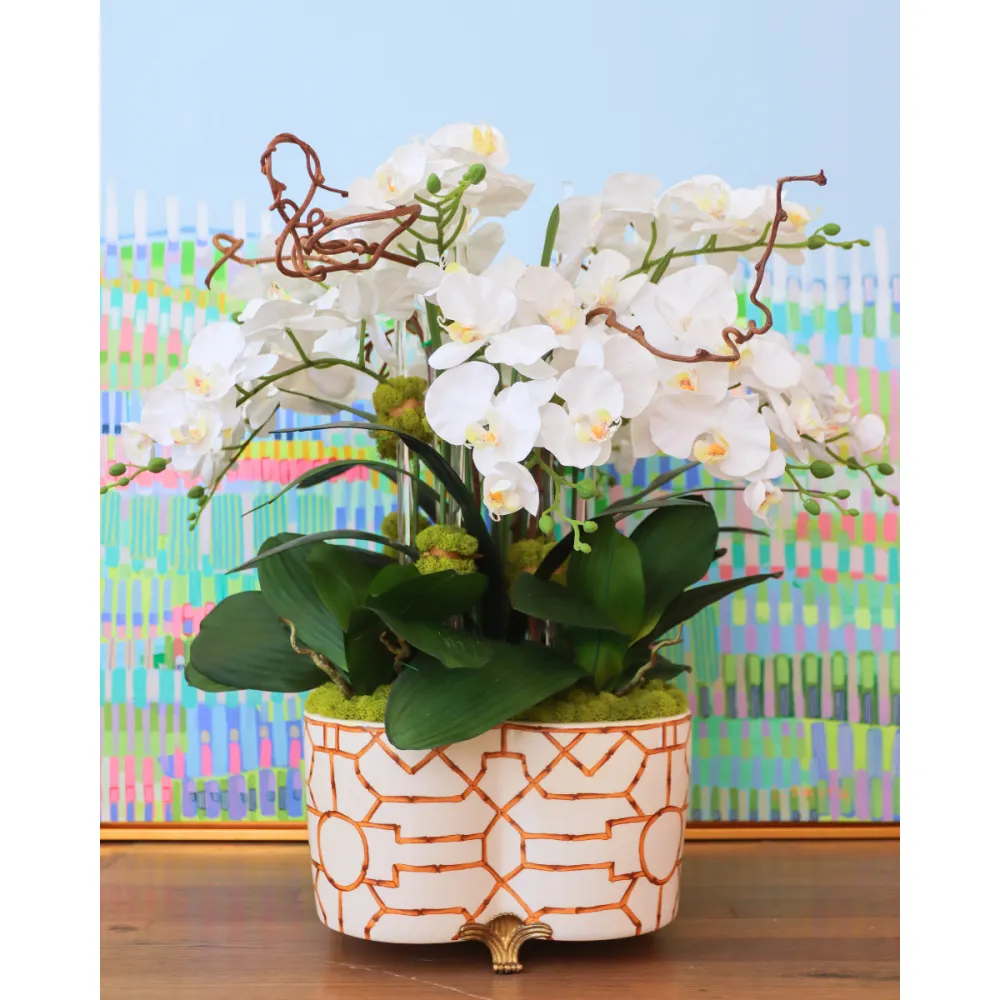 Bamboo-Detail Orchid Planter Arrangement