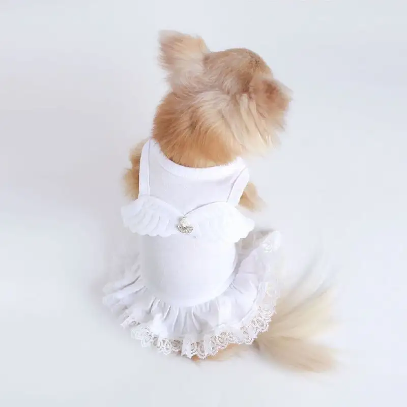 Crystal Playful Practical Dog Dress