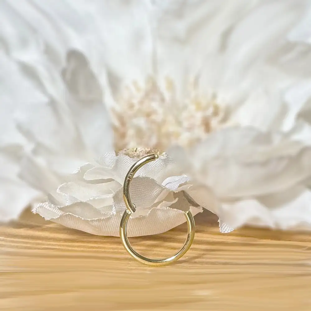Hinged Seamless Nose Hoop
