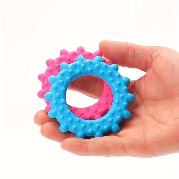 Pet Molar Ring Toy