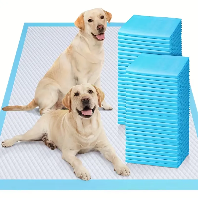 Large Dog Training Pad
