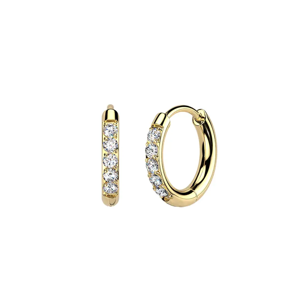 Titanium Moissanite Hoop Earrings