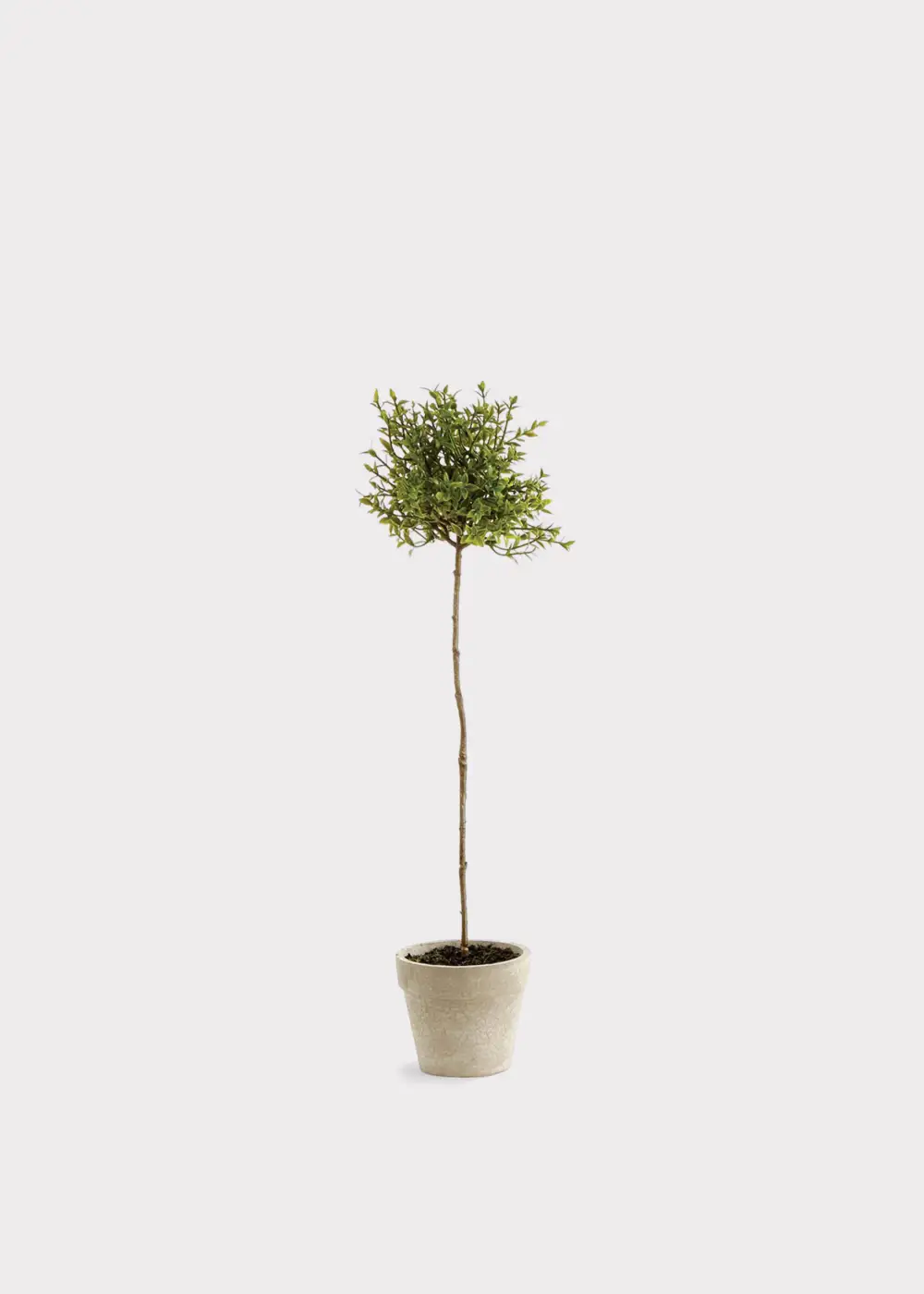 Artificial Statement Thyme Herb Topiary Potted Plant