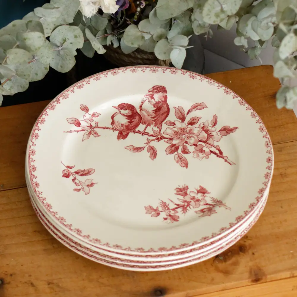Collected Transferware Dinner Plate