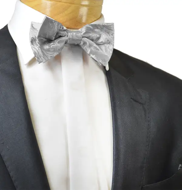 Elegant Paisley Polyester Bow Tie