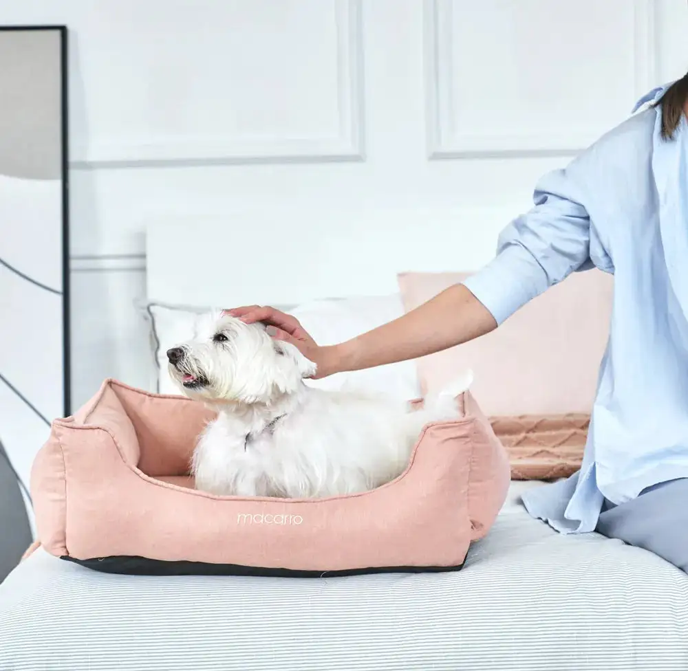 Soft Touch Pet Resting Bed