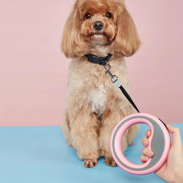 Retractable Dog Walking Leash