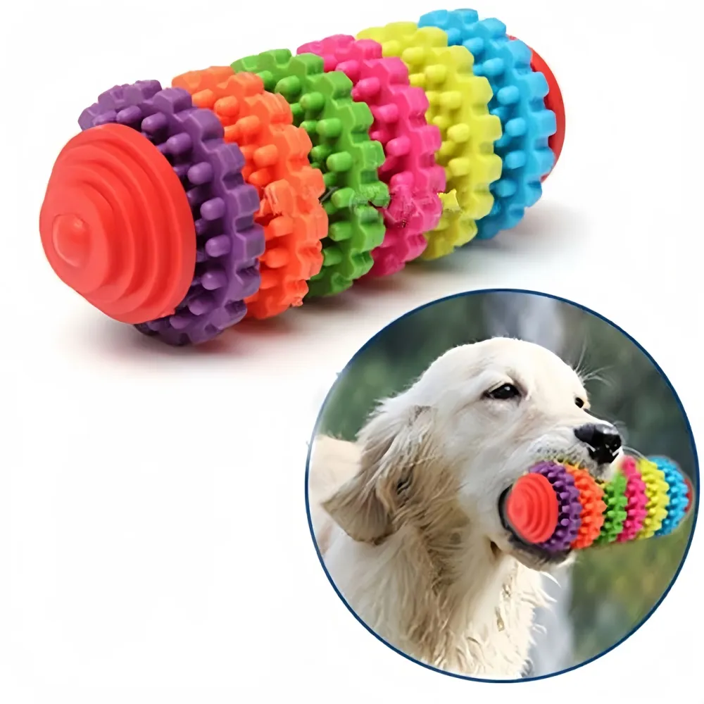 Dog Multi-Color Molar Toy