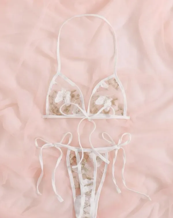 Butterfly Mesh Lingerie Set