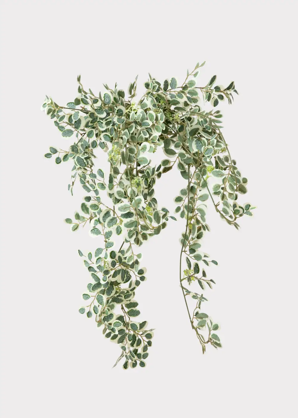 Artificial Button Leaf Hanging Plant