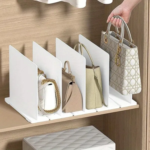 Closet Bag Organizer
