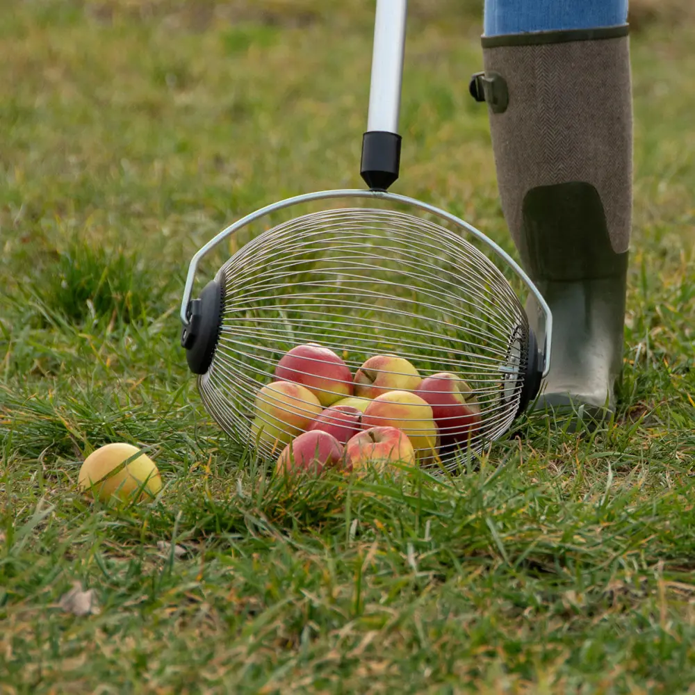 Garden Fruit Collection Tool
