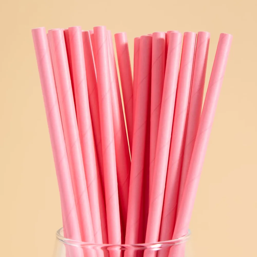 Disposable Paper Straws