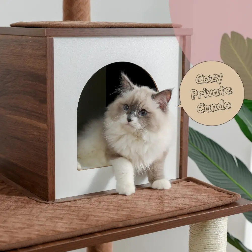 Multi Level Cat Playground Cat Tree