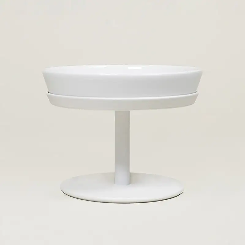 Raised Pet Bowl Stand Set