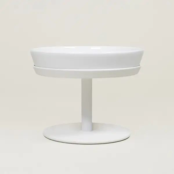 Raised Pet Bowl Stand Set
