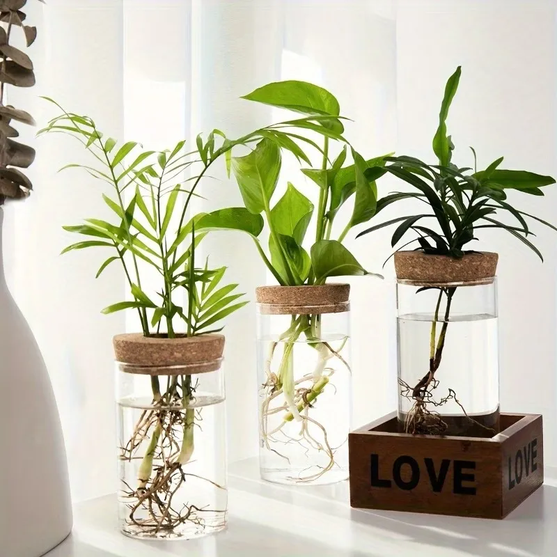 Glass Hydroponic Planter
