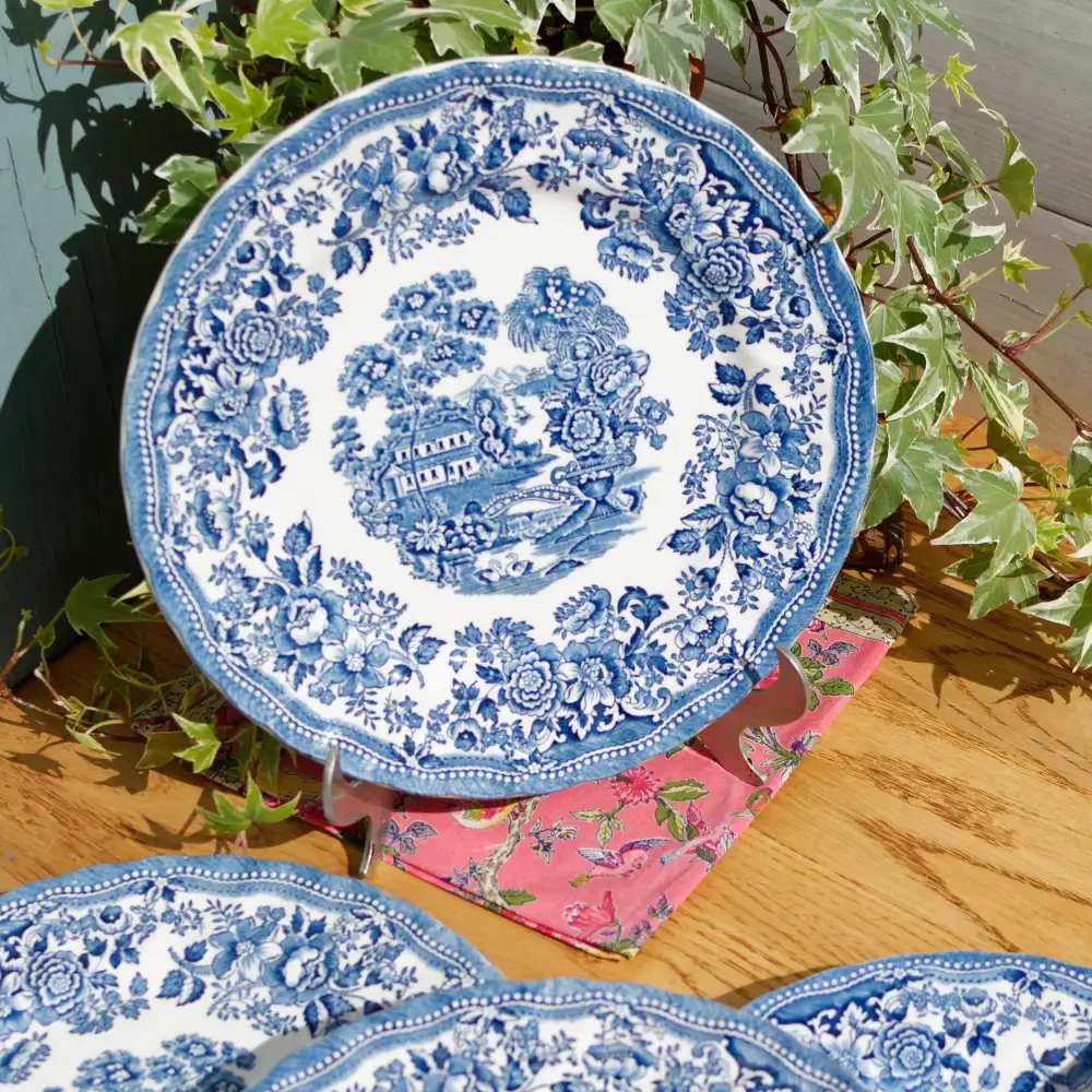 Graceful Charming Dinner Plate