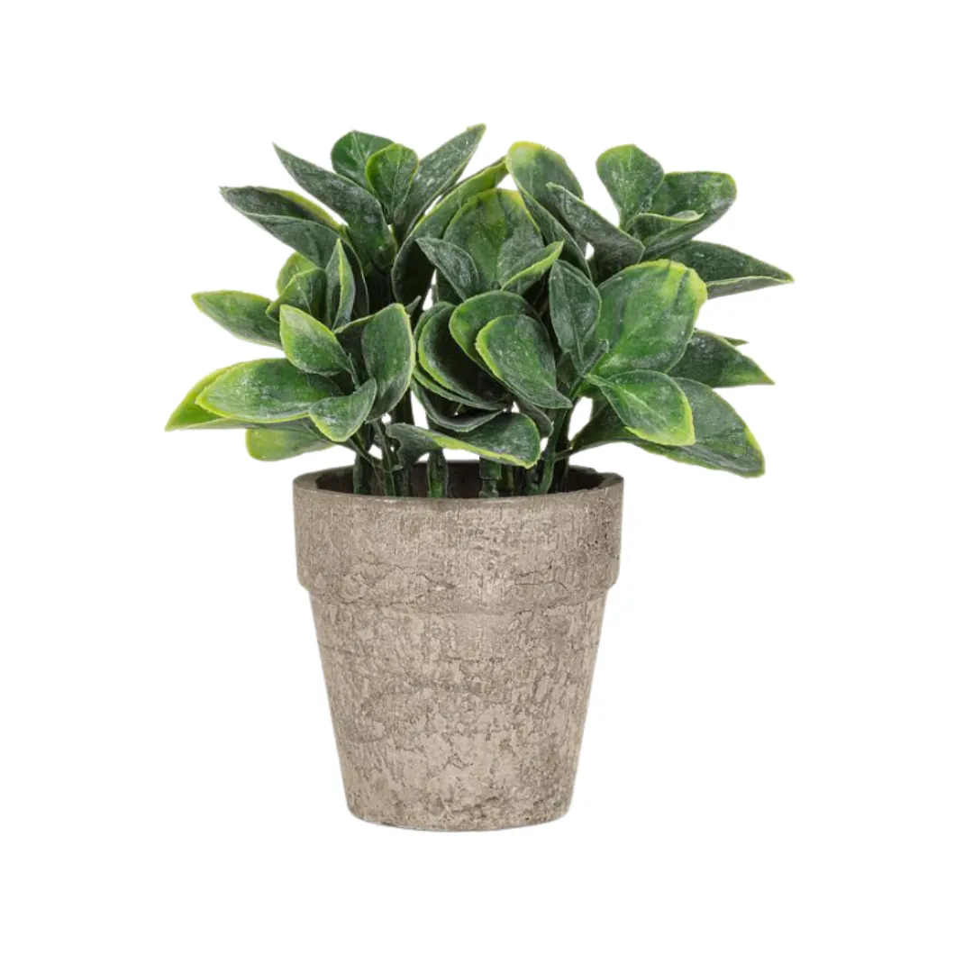 Classic Distinctive Refined Decorative Home Ornament