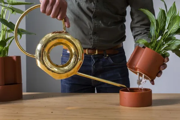 Minimal Pot With Saucer