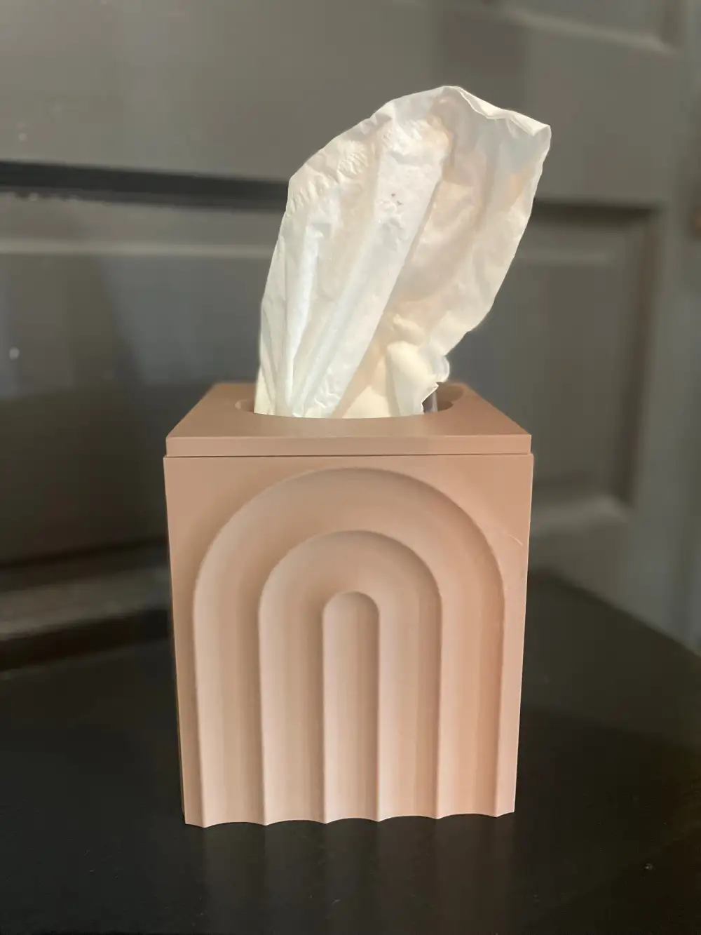 Natural Style Interior Piece Tissue Box