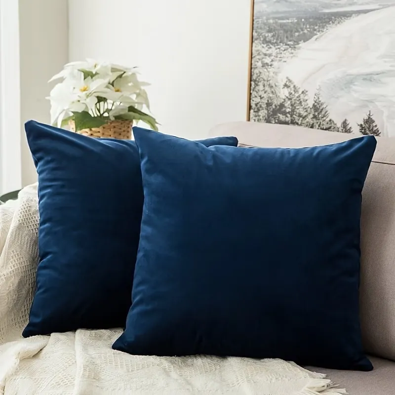 2 Pcs Velvet Throw Pillow