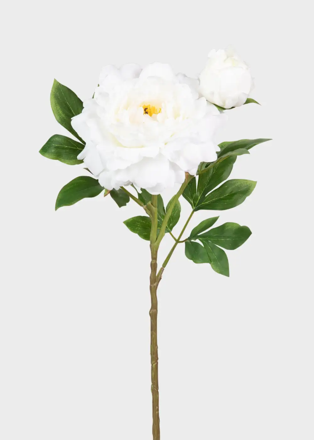 Artificial Queen Garden Peony Floral Stem