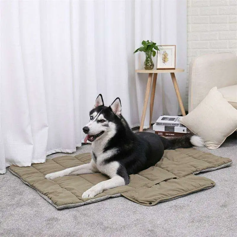Travel Ready Pet Bed