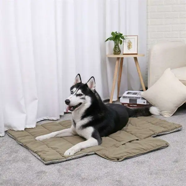 Travel Ready Pet Bed