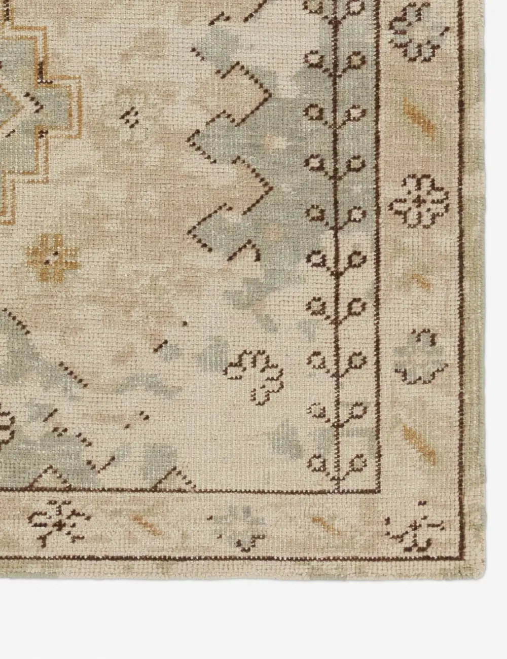 Soft Traditional Motif Hand Knotted Wool Area Rug