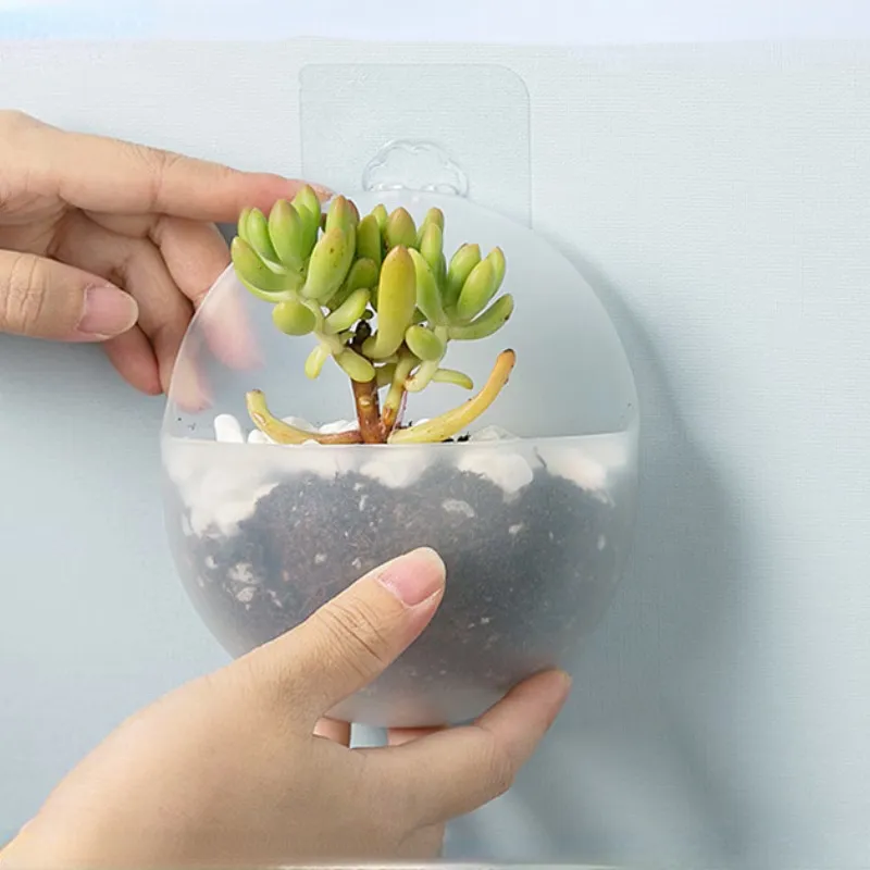 Wall-Mounted Succulent Planter