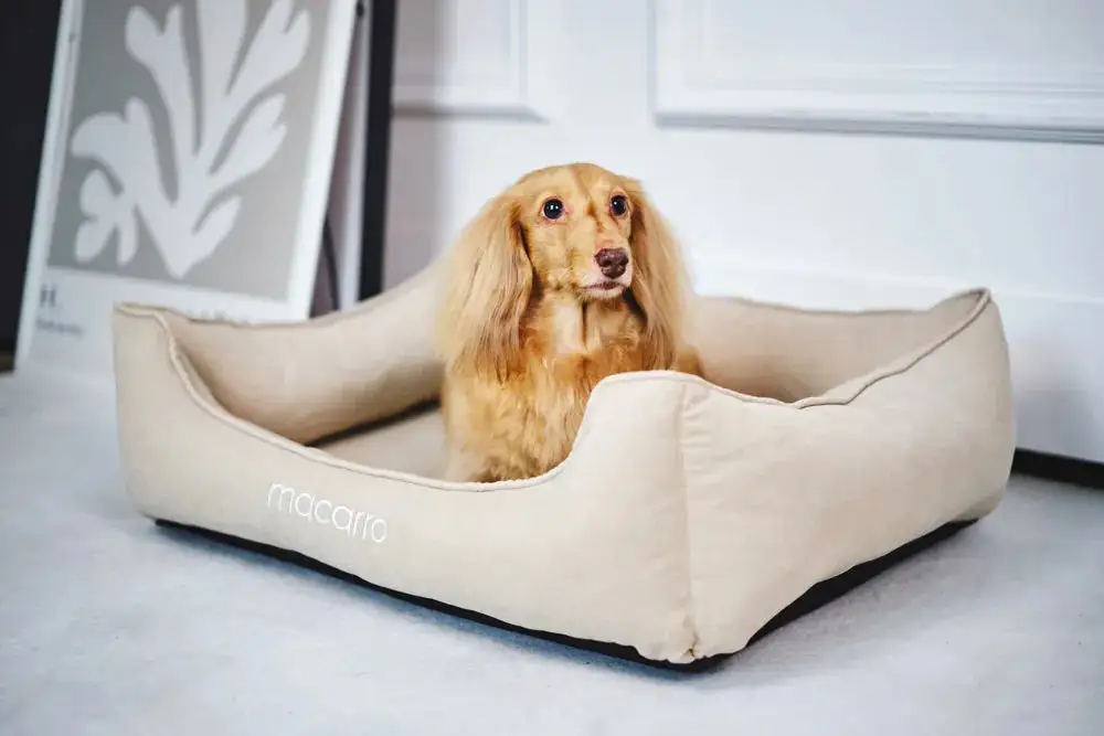Soft Touch Pet Resting Bed