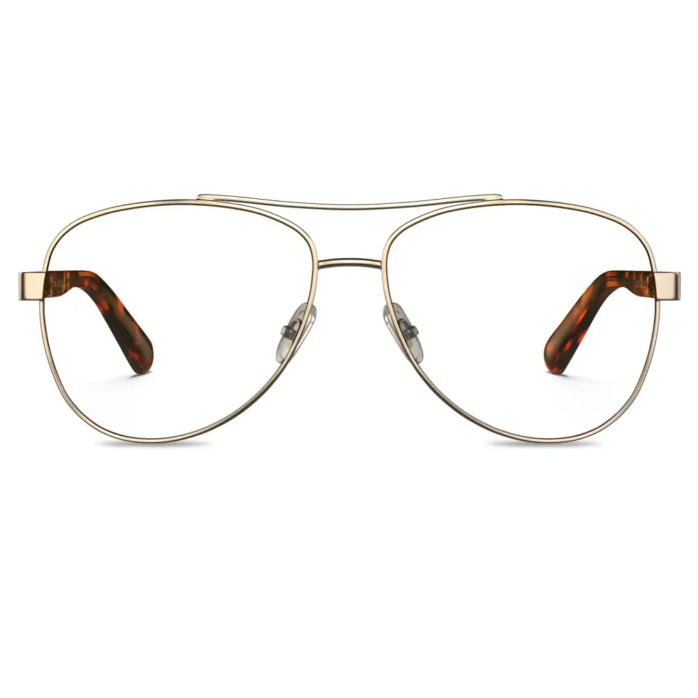 Contemporary Aviator Full Rim Acetate Blue Light Eyewear