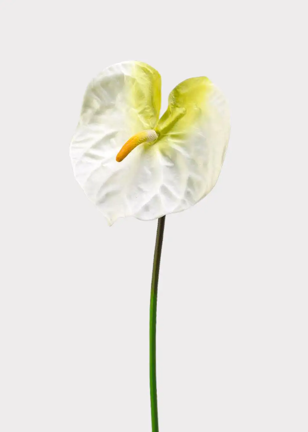 Artificial Anthurium Tropical Floral Stem