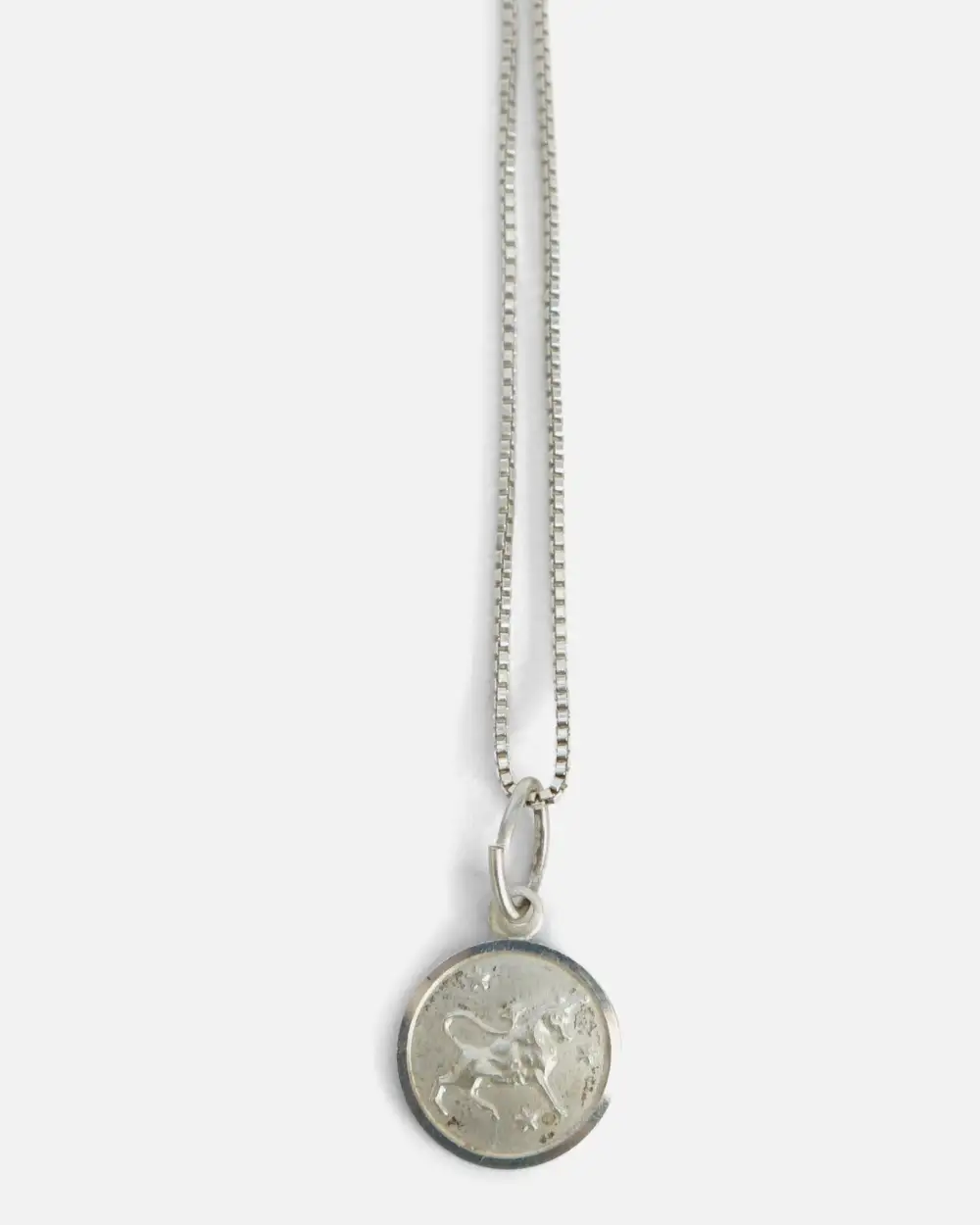 Chain Necklace with Capricorn Charm