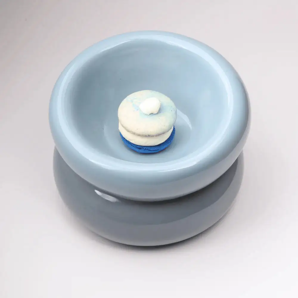 Classic Practical Pet Bowl