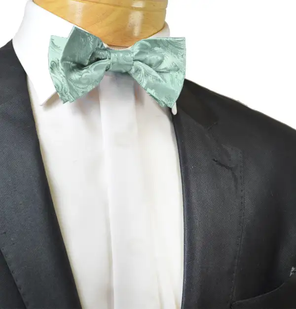 Ceremonial Paisley Polyester Bow Tie