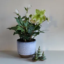 Handcrafted Ceramic Planter