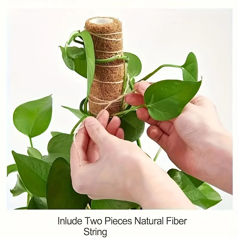 2 Pcs Monstera Climbing Plant Support