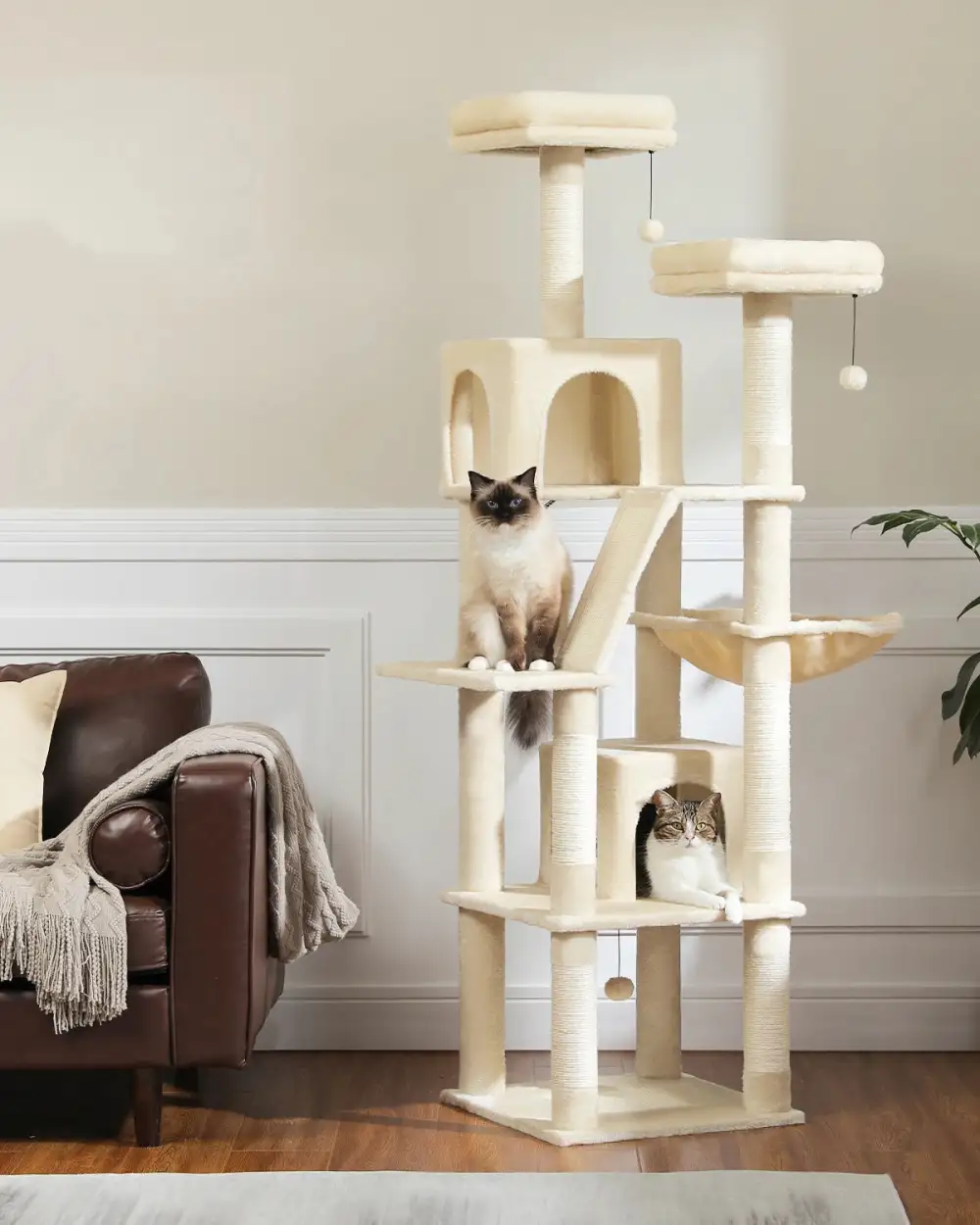 A Six-Story Cat Tree With Multiple Hiding Places