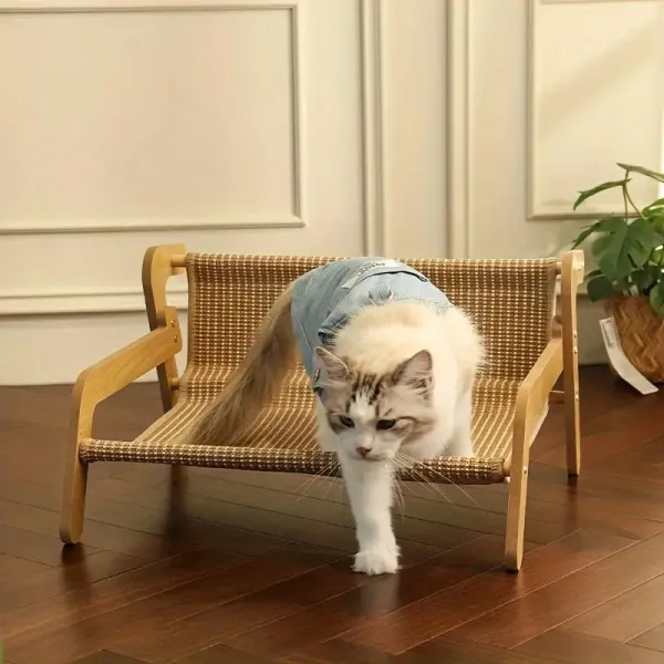 Spacious Cat Resting Couch